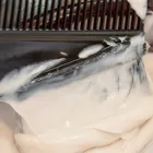カラー